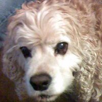 MarkFuccio (@markfuccio) 's Twitter Profile