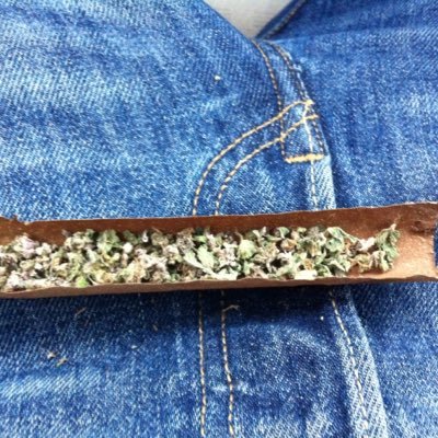 highAFevrywhr's profile picture. 