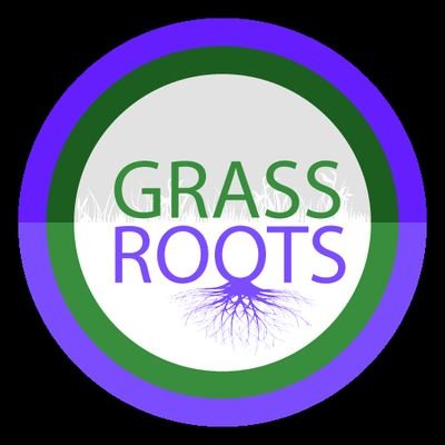 See our active campaign account Twitter: @Grassroots_Ohio