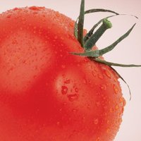 Vegan Bits (@veganbits) Twitter profile photo