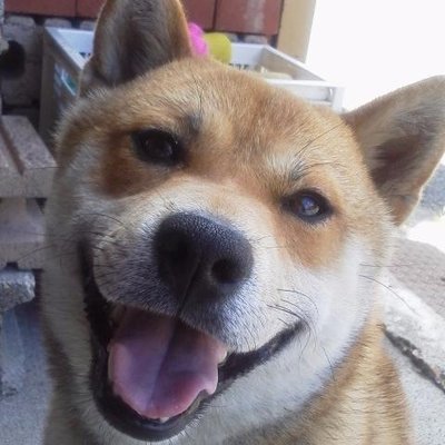 かんたろうのプロフィール写真