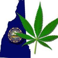 MaineHemp Profile Picture