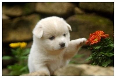 shooi0326's profile picture. 