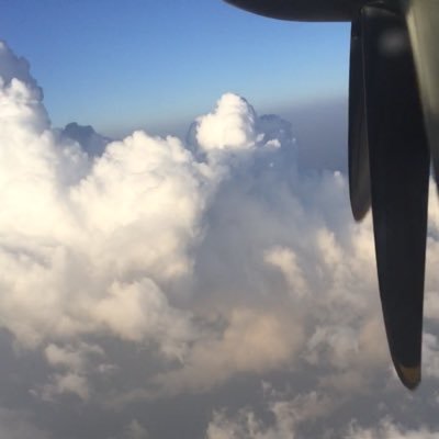 OhemaStars's profile picture. 