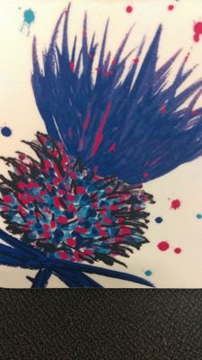 Sheils75's profile picture. 