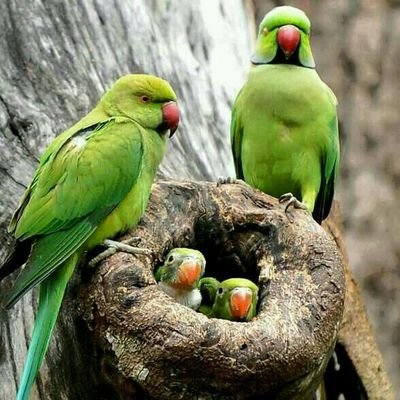 dk791978's profile picture. 