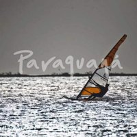 TUTSUNAMI,S.C. (@tutsunami) 's Twitter Profile