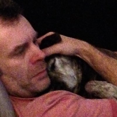 sharkboh's profile picture. 