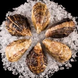 Washington's Best Premium Oyster 
Pure, Crisp, Sea Salt Flavor with a Clean Finish