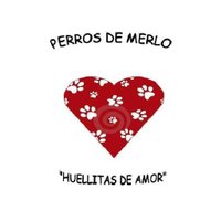 Perros de Merlo(@PerrosdeMerlo) 's Twitter Profile Photo