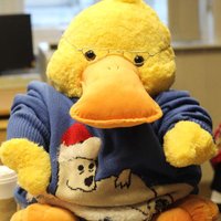 DBA Duckling (@dbaduckling) 's Twitter Profile
