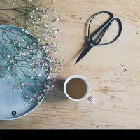 رفيف الشمري (@rafeeff888) 's Twitter Profile