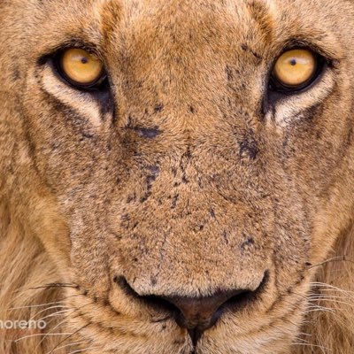 kadakes1's profile picture. 1969