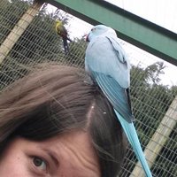 Sam Penrice (@_scpenrice) 's Twitter Profile