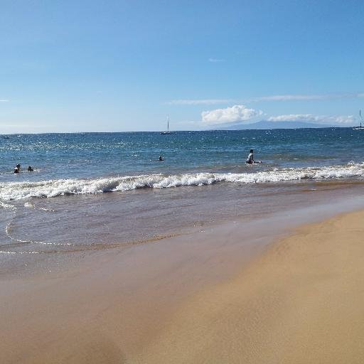 If you're ignorant about politics, you're going to lose your freedoms. Maui is my happy place!