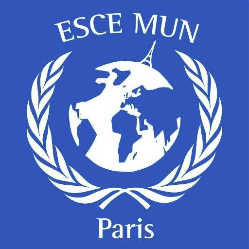 L'association ESCE Model United Nations a pour but de participer et d'organiser des simulations de négociations de l’ONU à l'international.