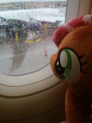WireBoundPony's profile picture. Im a gamedev and musician. 

CEO of Jcam Technologies

Currently working on: Derguns Town