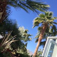 Jennifer O'Brien (@jsco3) 's Twitter Profile