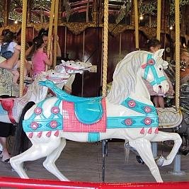 NiagaraWatch's profile picture. Some of the reasons I love living in Niagara and why you should too. It’s a great place for a lot of reasons –  I haven't updated the site in years....