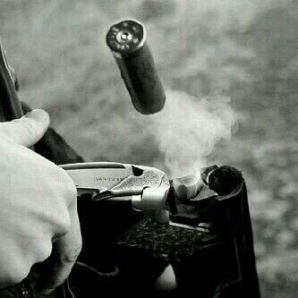 al3mir8's profile picture. ودي ولكن كيف تحقيق ودي