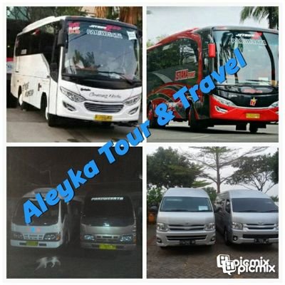 aleykatour's profile picture. 