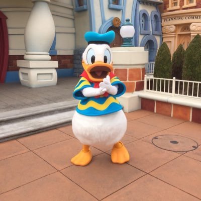 G6seqO3xYlS0JsW's profile picture. ディズニー大好き青年/ドナルドだいすき。フォローしてください！フォロバ必ず！