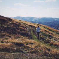 Dr. Laura McCoy (@lc_macc) 's Twitter Profile