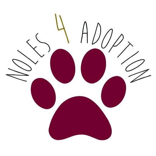 Adopt not shop! A group of FSU students spreading the word about adopting pets instead of buying them.   Instagram: Noles4Adoption Facebook: Noles4Adoption