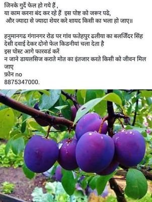 sexpakistan1's profile picture. 