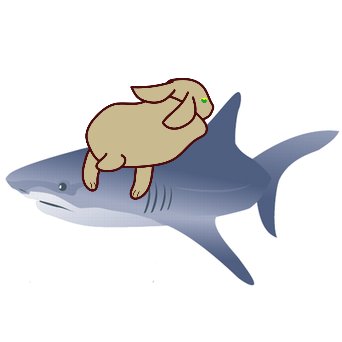 ふよさんのプロフィール画像