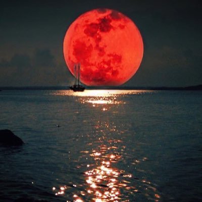 crazythoughts01's profile picture. 