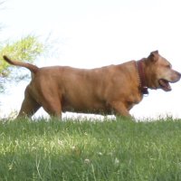 MMEO Memorial Fund (@mmeofund) 's Twitter Profile Photo MMEO Memorial Fund (@mmeofund) 's Twitter Profile Photo
