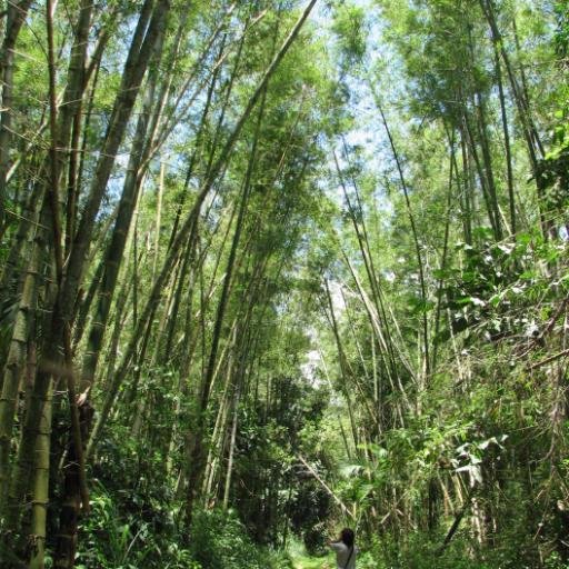 El #CambioClimático es real y esta ocurriendo ahora mismo; es la amenaza más urgente que afronta nuestra especie