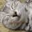 kuronanj's profile image