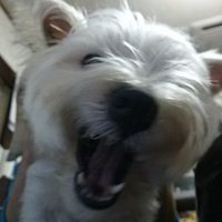 wonDRe (@wondre6) 's Twitter Profile