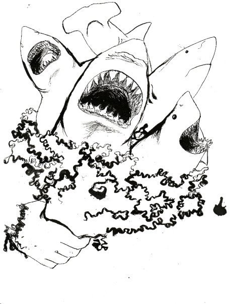 TrifectaandCo's profile picture. 