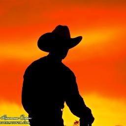 CompulsivCowboy's profile picture. Trouser Browser