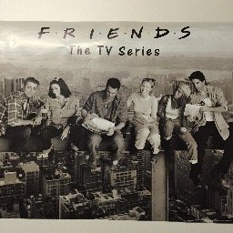 ShitE411Says's profile picture. 