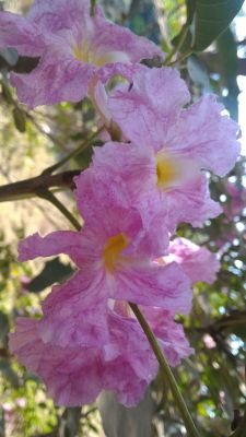 Where there is love there is expectation, expectation for the goodness n success of the one loved n that's selfless n not selfish...