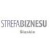 Strefa Biznesu Śląsk (@StrefaBiznesuDZ) Twitter profile photo