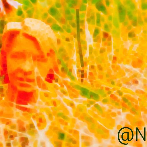 NathDit's profile picture. Journaliste pigiste, correspondante pour le quotidien belge @lavenir_net et @regionsmag.