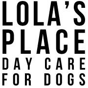 Making life fun for your four legged friends. The North-East's busiest and best #dog #daycare centre just off the A1 by Gosforth Park. #Gosforth #Newcastle