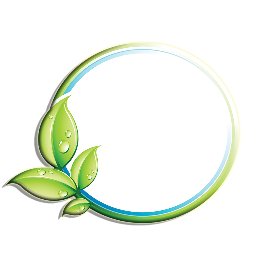 dtoxfoods's profile picture. 