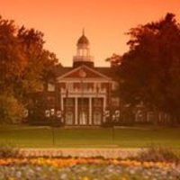 Elon English (@eloneng) 's Twitter Profile