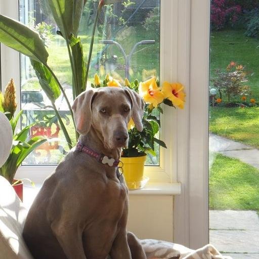 inittowinit10's profile picture. 