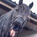 manchester tack shop (@manchestertack1) Twitter profile photo manchester tack shop (@manchestertack1) Twitter profile photo