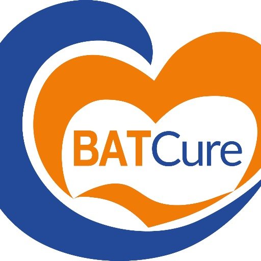 EU Consortium of scientists, clinicians, pharma and a patient organisation - working together to cure Batten disease from January 2016