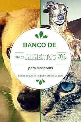 Banco de alimentos para mascotas de familias con pocos recursos