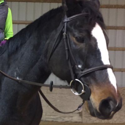 ilCognoscentini's profile picture. 