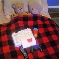 Plushie Friends (@littleplushie) 's Twitter Profile